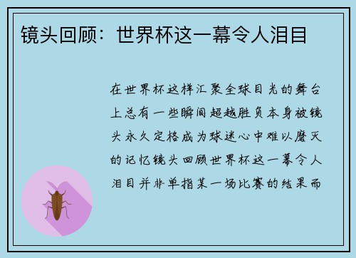 镜头回顾：世界杯这一幕令人泪目